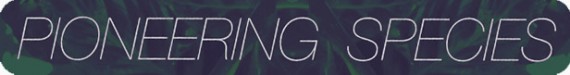 Pioneering Species 